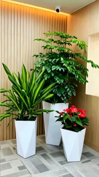 宁波花卉出租价格基础知识大全，快速掌握
